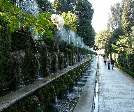 2008年10月16日 144.jpg