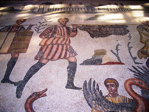 CIMG1693.jpg